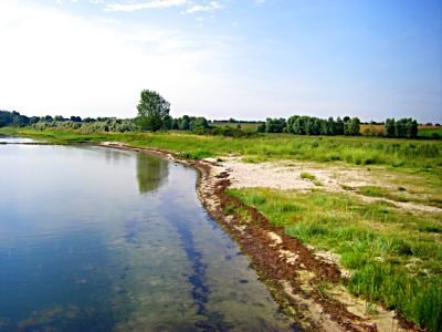 Hohen Wieschendord Wiesen Strand Ostsee