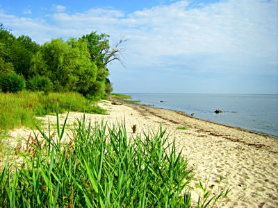 Hohen Wieschendorf Strand und Natur Ostsee